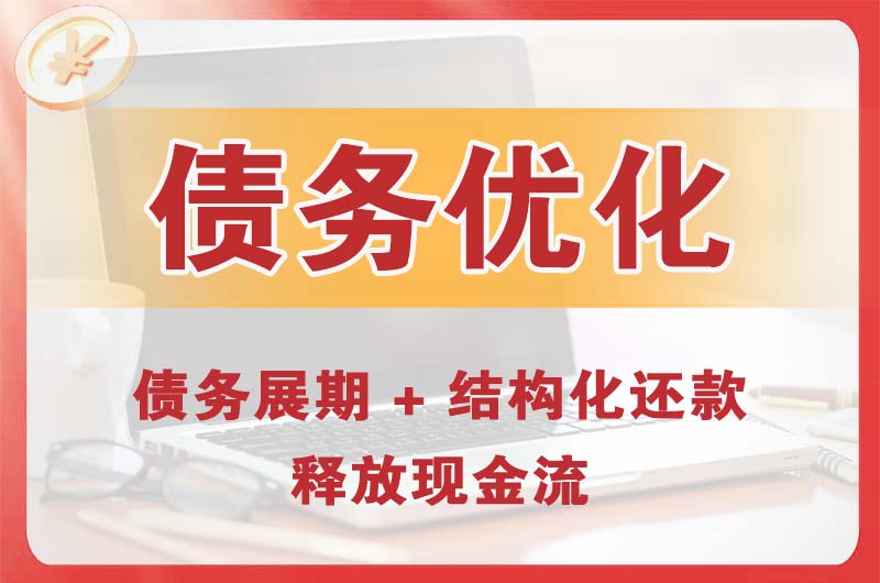 兴平债务优化